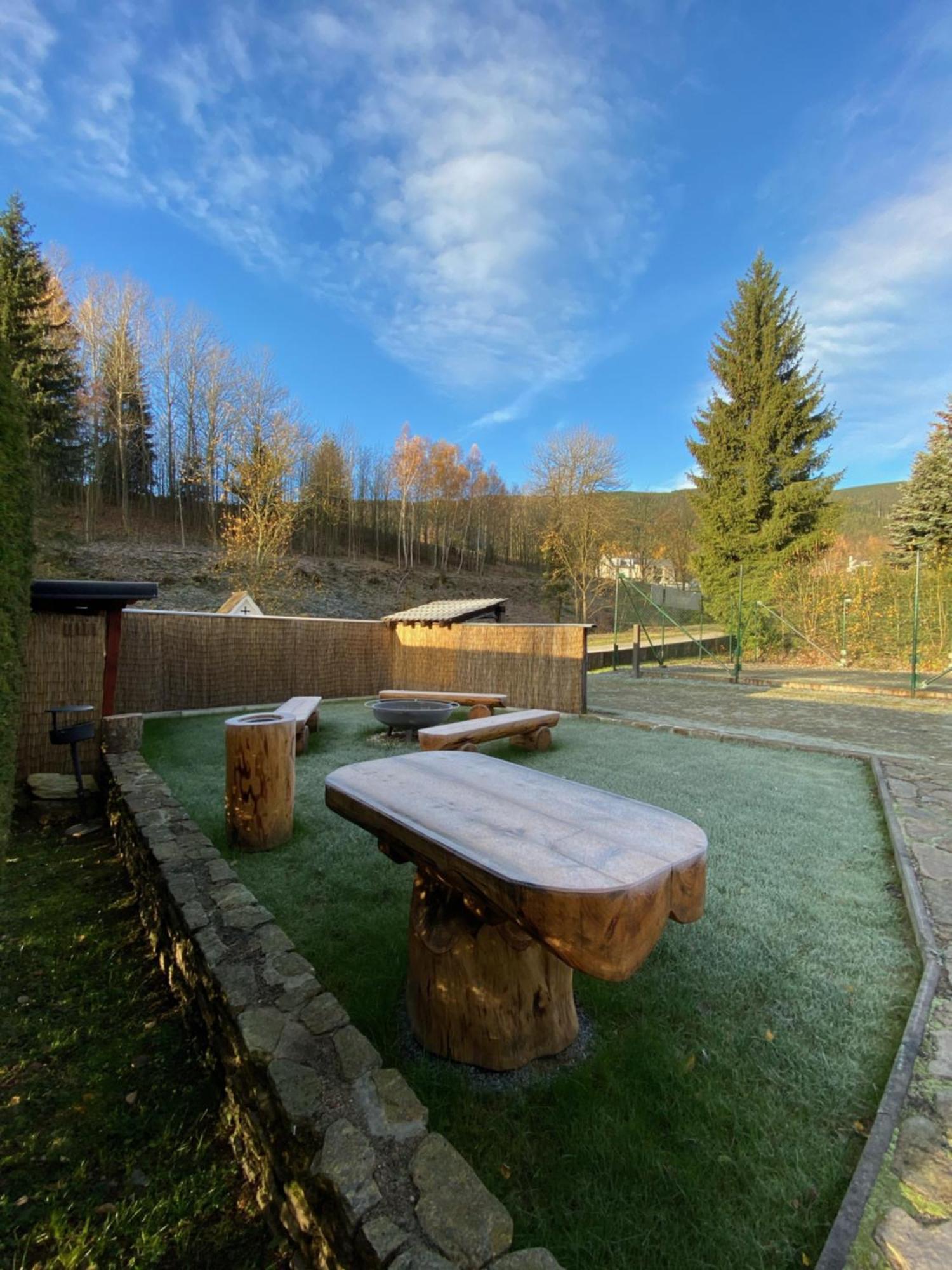 Horsky Hotel Snezenka Hynčice pod Sušinou Exteriör bild