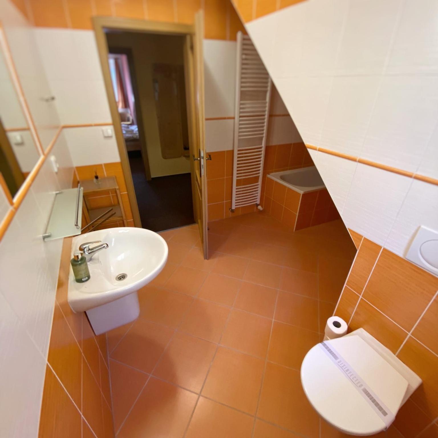 Horsky Hotel Snezenka Hynčice pod Sušinou Exteriör bild